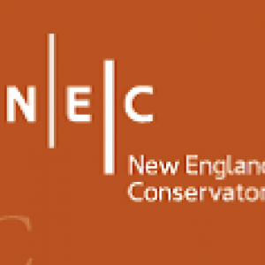 Orange NEC Logo